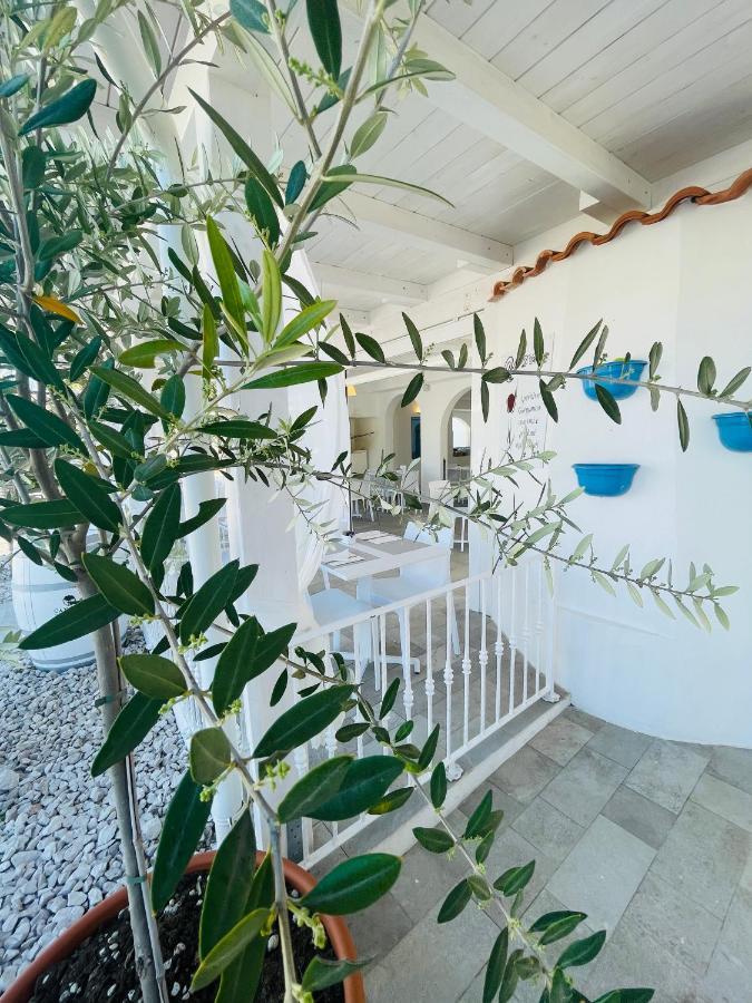 B&B Villa D'Amato Peschici Dış mekan fotoğraf